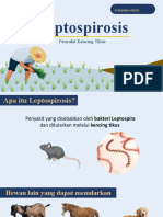 Penyuluhan Leptospirosis