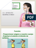 Tema 2. Sistema Cardio-Respiratorio. 2.1. APARATO Respiratorio