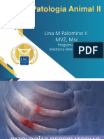 Patología Animal II: Lina M Palomino V MVZ, MSC
