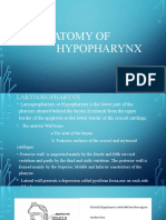Anatomy of Hypopharynx