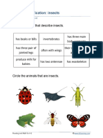 Animal Classification: Insects: Grade 2 Science Worksheet