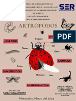 Artrópodos