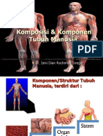 Komposisi & Komponen Tubuh Manusia