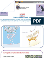 02 Protein Transport Within A Cell MAT 2021