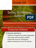 Chapter 11B: Survey of Database Systems