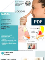 Reconstrucción Nasal Dra Giselmar Soto PDF2