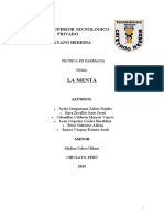 INFORME