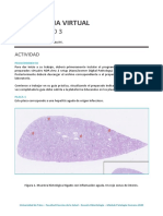 Microscopia Virtual: Laboratorio 3