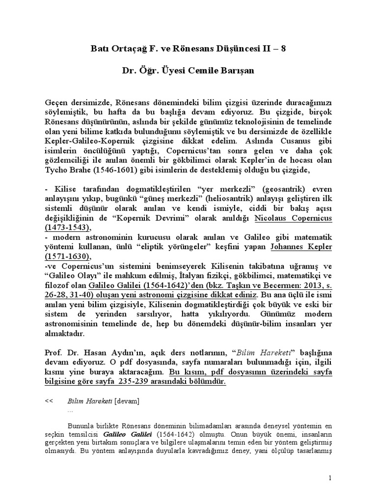 Ronesans - 8 | PDF