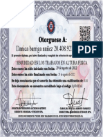 Danica Barriga Nuñez 20.408.921-3: Seguridad en Los Trabajos en Altura Física