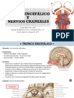 Sergio Navarrete Vidal Becado de Medicina Física y Rehabilitación - R1 Universidad de Concepción 2018