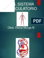 El Sistema Circulatorio: Obst. Diana Murga B