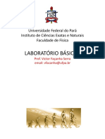 Laboratório Básico I: Universidade Federal Do Pará Instituto de Ciências Exatas e Naturais Faculdade de Física