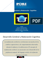 Desarrollo Cerebral y Maduración Cognitiva