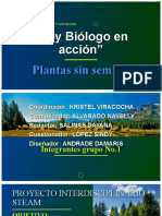 " Soy Biólogo en Acción" Plantas Sin Semillas