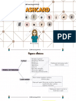 FLASHCARDS NEURO by Kinesiologywithisi