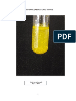 Informe Laboratorio Tema 5: Sofía García Condado 4B/ 8-2-2022