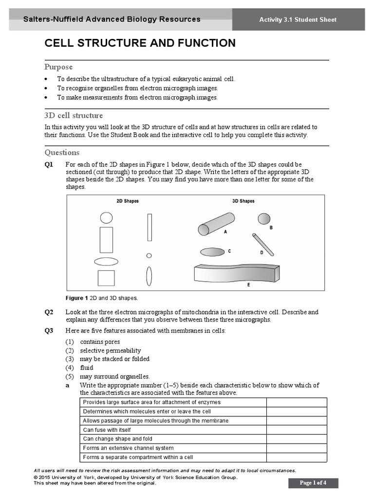 Activity 31 Student PDF Cell (Biology) Cell Membrane