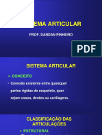 Sistema articular: tipos e classificação