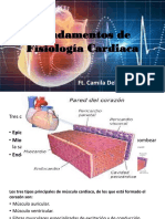 Fundamentos de la fisiología cardiaca