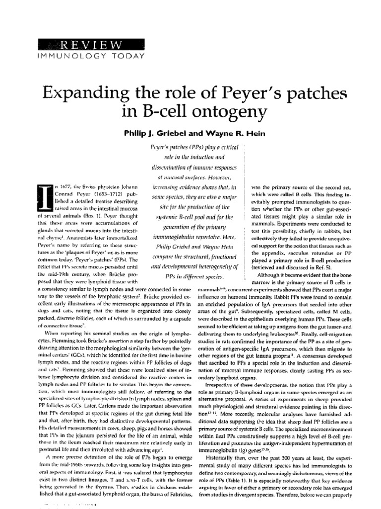 Peyer’s Patches and B-Cell Development | PDF