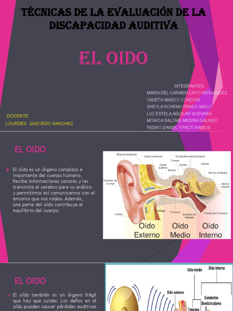 1..el Oido | PDF | Oído | Escuchando