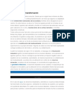 Contaminación y Transformación