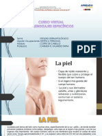 Tema: Estudio Dermatológico Opción Ocupacional: ESTÉTICA PERSONAL Módulo: Corte de Cabello Profesora: Carmen R. Fajardo