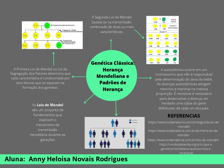 MAPA MENTAL Genética Clássica Herança Mendeliana e Padrões de Herança | PDF