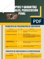 Principios Y Garantías Procesales, Persecución Penal: Lic. Chuenfel López Castañeda