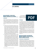 Oftalmologia Laboral, Libro Med Del Trabajo Fernandez Gil 2 Ed