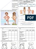 Ficha Ciencia Diferencias Entre Niños y Niñas