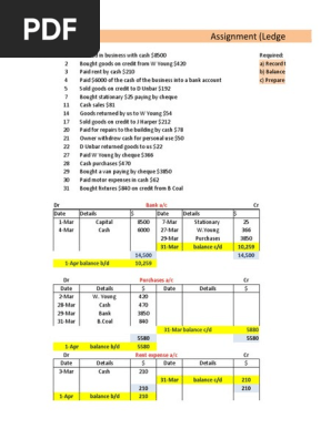 Accounting Ledger assignment