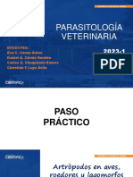 Parasitología Veterinaria: Modulo 1 Práctica Ii