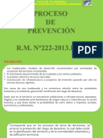 Proceso DE Prevención R.M. N°222-2013.PCM