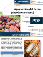 Manejo Agronómico Del Cacao (Theobroma Cacao)