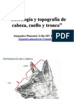 "Osteología Y Topografía de Cabeza, Cuello Y Tronco": Alejandro Pimentel Ávila MV Diplme