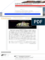 Nandinho Cavaco Partitura - Péricles - Jogo de Sedução 2