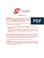 Modelo Documento Privado Accionista Unico S.A.S.