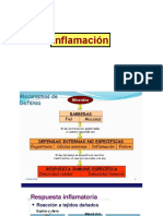 Inmunidad Innata-Inflamacion