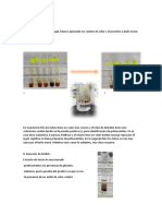 Trabajo de Bioquimica2