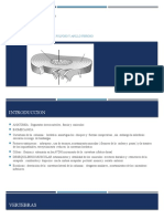 Rehabilitacion en La Lumbalgia: Disco Intervertebral: Nucleo Pulposo Y Anillo Fibroso