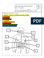 Avaliação Adaptada Do Nono Ano