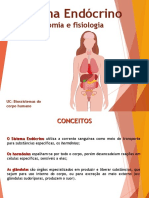 Sistema Endócrino: Anatomia, Fisiologia e Hormônios