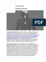 Função Do Sistema Endócrino A Natureza Da Regulação Endócrina