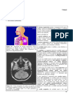 Sistema Respiratório: Eliane de Oliveira Borges, Ufrgs