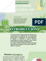 Metodos Fenotipicos: Identificacion Preeliminar Bioquimica - Con Lectura Inmediata Hasta 18H