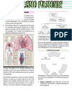 Embolismo Pulmonar: Fisiopatología