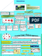 Kidderson 1 - Infografia Transporte y Diversidad Celular