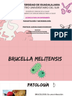 Brucela Melitensis